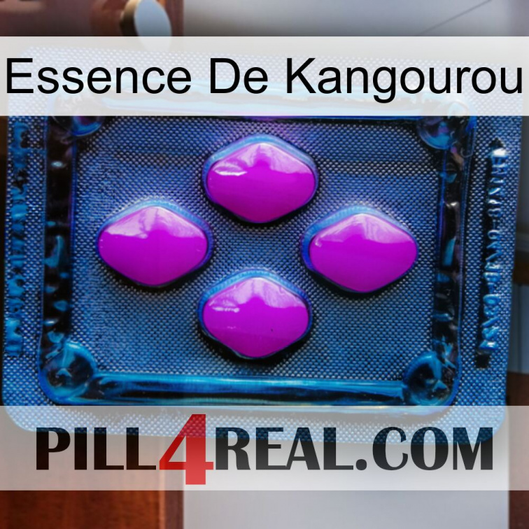 Kangaroo Essence 04